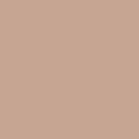 The Concealer - Medium