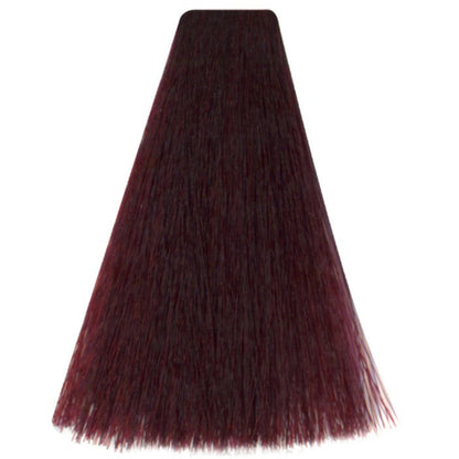 Art Absolute 5/68 - Light Chestnut Violin Red (100ml)