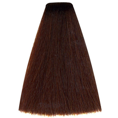 Art Absolute 6/4 - Dark Copper Blonde (100ml)