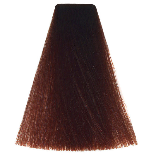 Tone Intense 6/4 - Dark Copper Blonde (100ml)