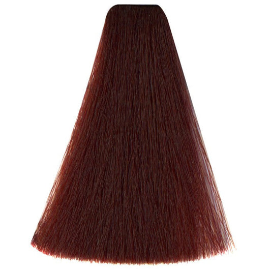 Art Absolute 6/5 - Dark Mahogany Blonde (100ml)