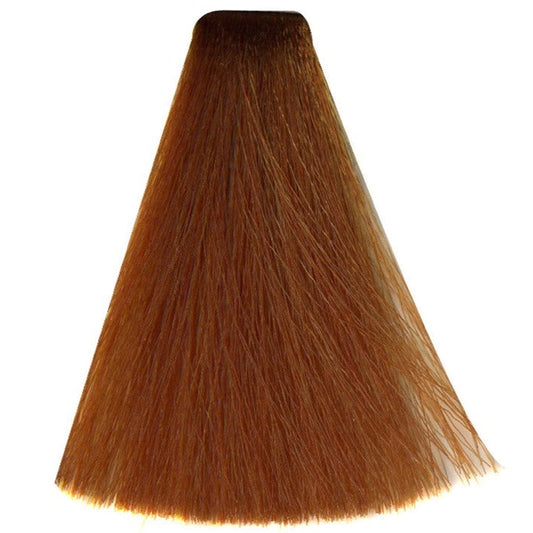 Art Absolute 8/43 - Light Blonde Golden Copper (100ml)