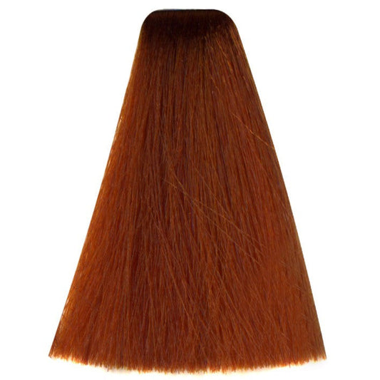 Art Absolute 8/44 - Light Blonde Deep Copper (100ml)