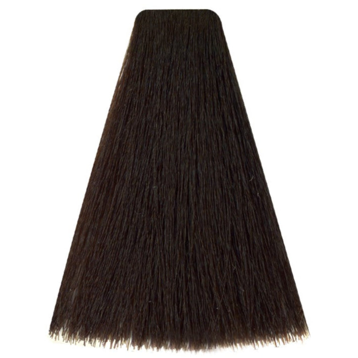 Art Absolute 55/00 - Rich Light Chestnut (100ml)