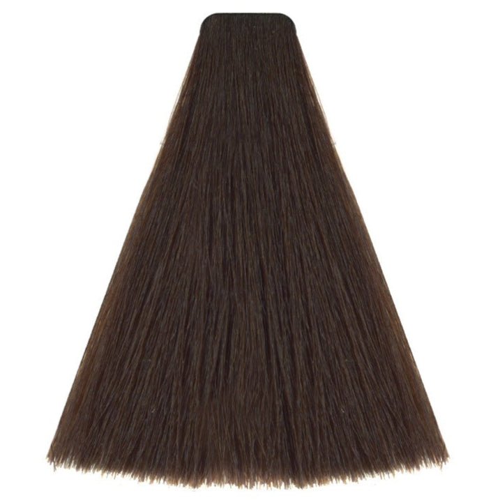 Art Absolute 6/00 - Deep Dark Blonde (100ml)