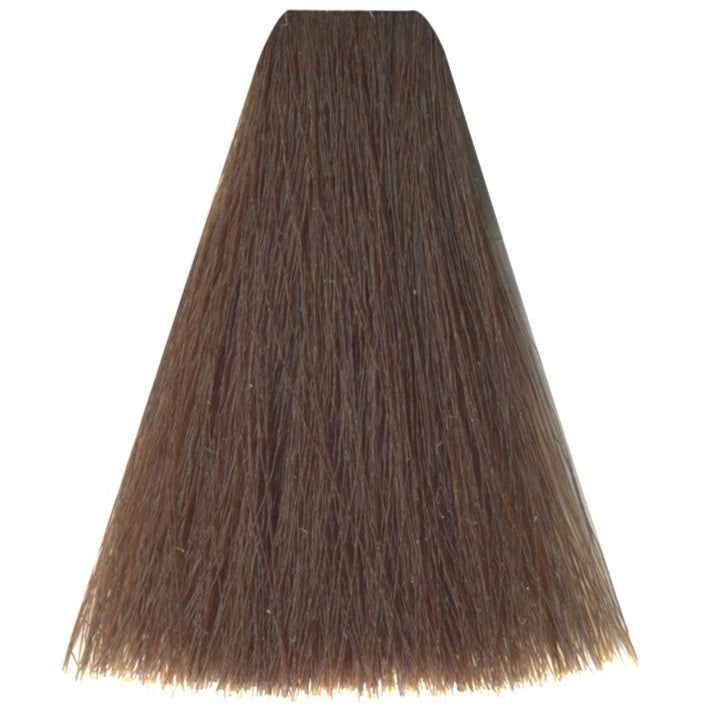 Art Absolute 6/98 - Dark Blonde Pearl Brown (100ml)