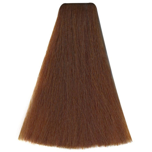 Art Absolute 7/34 - Havana Blonde (100ml)