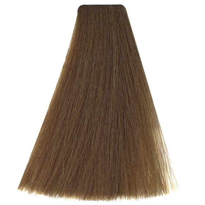 Art Absolute 8/00 - Deep Light Blonde (100ml)