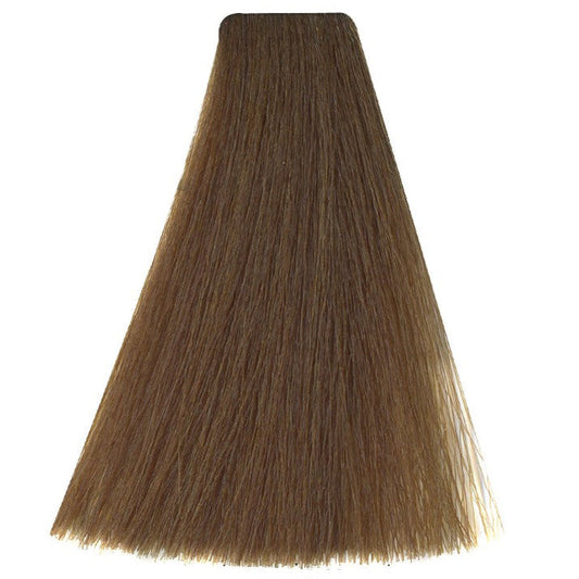 Art Absolute 8/00 - Deep Light Blonde (100ml)