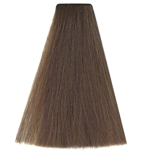 Art Absolute 8/1 - Light Ash Blonde (100ml)