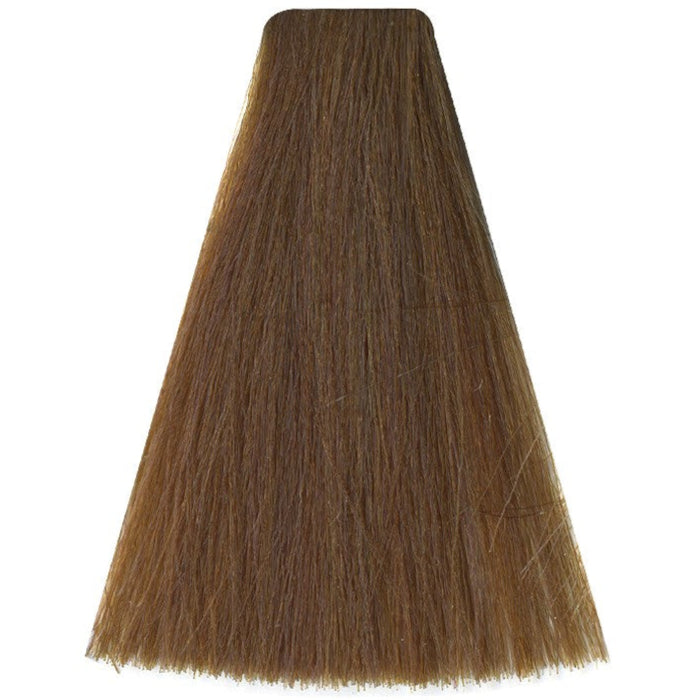 Art Absolute 8/2 - Light Blonde Beige (100ml)