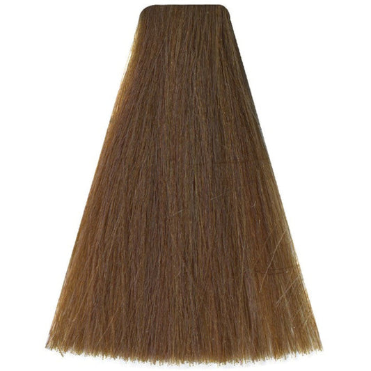 Art Absolute 8/2 - Light Blonde Beige (100ml)