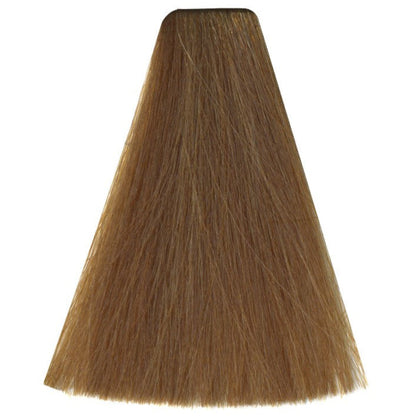 Art Absolute 8/31 - Light Sand Blonde (100ml)