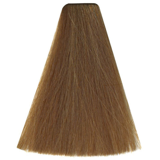 Art Absolute 8/31 - Light Sand Blonde (100ml)