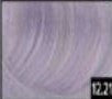 Viba 12.21 Extreme Violet Ash Blonde Permanent Hair Color