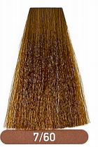 Gamma NEXT Ammonia & PPD Free Hair Color Cream - 7/60 Blond Brown