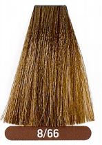 Gamma NEXT Ammonia & PPD Free Hair Color Cream - 8/66 Light Blond Intense Brown