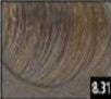 Viba 8.31 Light Golden Ash Blonde Permanent Hair Color