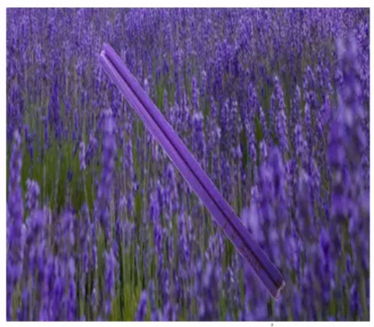 Indian Ear Candles - Dreamy Lavender